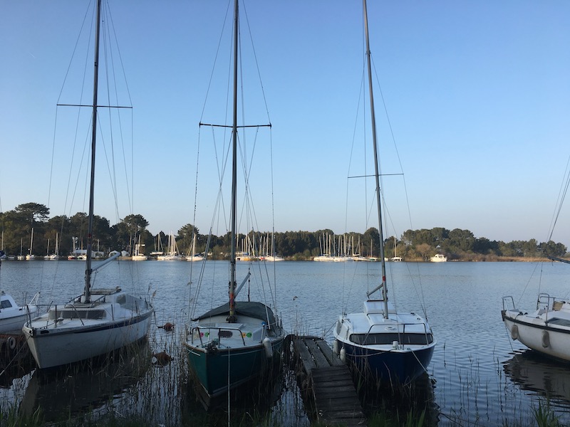 Alignement de bateaux sur les rives de l'étang de Cazaux-Sanguinet à Biscarrosse