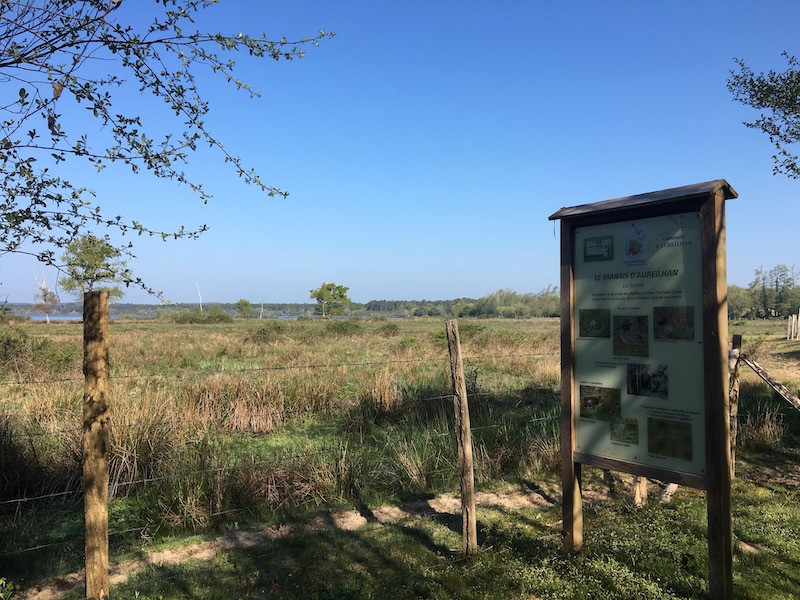 Vue sur une partie du parcours qui serpente à travers le marais d'Aureilhan