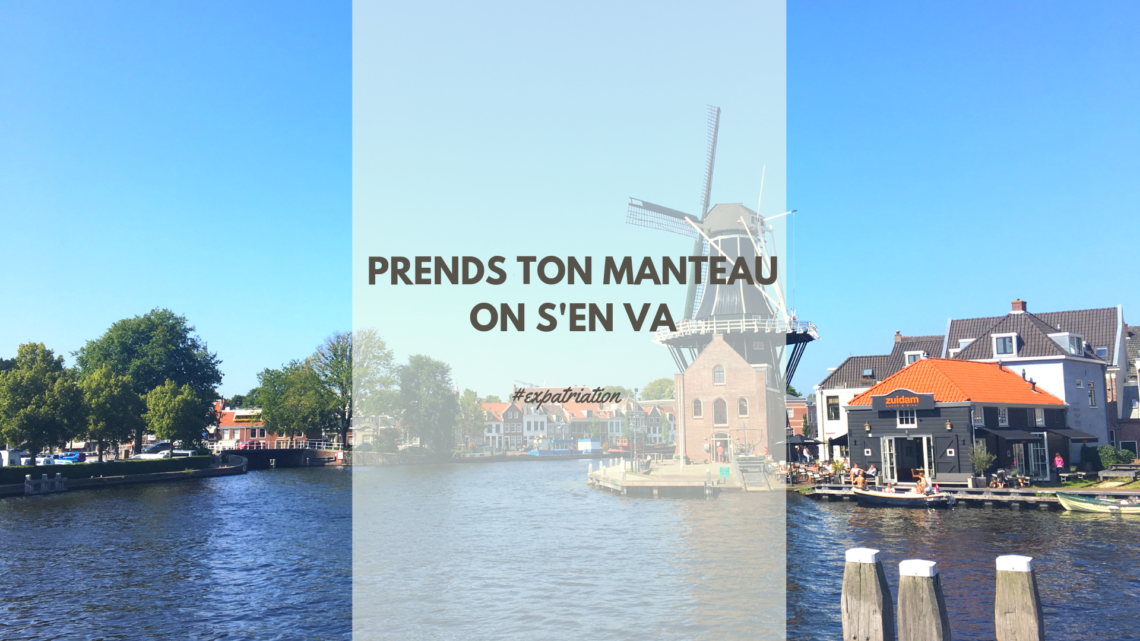 Vue sur le moulin d'Adrien dans la ville de Haarlem entouré de canaux