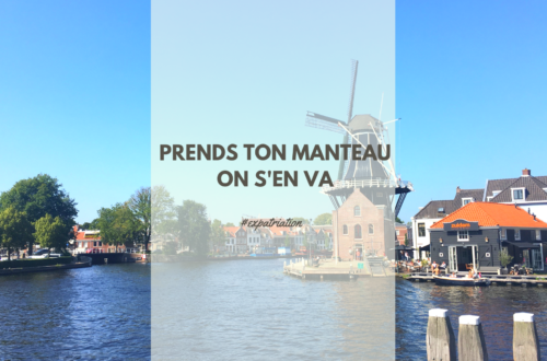 Vue sur le moulin d'Adrien dans la ville de Haarlem entouré de canaux