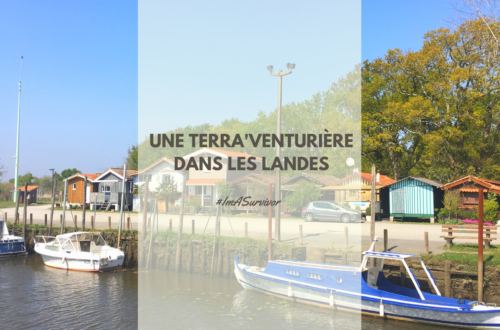 Vue sur les maisons et bateaux colorés du petit port de Biganos en Gironde