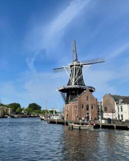 Une de mes villes chouchou aux Pays-Bas, c’est Haarlem 🤩
Située à une petite vingtaine de kilomètres à l’ouest d’Amsterdam, son centre-ville m’a tapé dans l’œil avec sa place du marché, son église monumentale et son moulin.
#haarlem #paysbas #haarlemtoday #moulin #molendeadriaan #visithaarlem