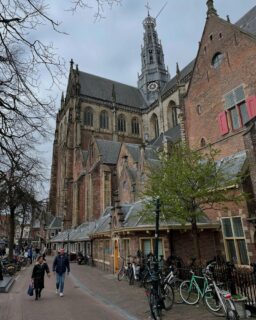 Église Saint-Bavon à Haarlem ⛪️
Plantée au milieu de la ville sur la place du Grote Markt, l’église est en tout point remarquable : un volume impressionnant, un orgue imposant, une voûte en bois ouvragée…
À chaque fois que j’y rentre, j’y passe littéralement des heures ! 🤩
#haarlem #paysbas #eglise #sintbavokerk