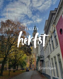 C’est l’automne 🍁
Je déclare ouverte la saison :
🌳 des couleurs changeantes des arbres du parc naturel du Hoge Veluwe
☔️ des parapluies ou des k-way
☕️ des chocolats chaud dans des cafés cosy
#paysbas #groningen #automne #cosy #voyagesurmesure
